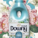 호텔향기 이미지