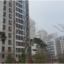 뉴타운공인중개사사무소 | 수색뉴타운 부동산 고르는 법: 자이부동산공인중개사사무소의 세심한 상담과 맞춤형 서비스