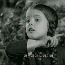 야오늘은동네에서