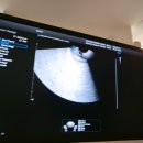 수영여성의원 이미지