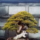 제주아트랜드 이미지