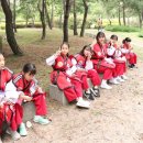 명성태권도 이미지