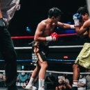 뻔치복싱스튜디오 이미지