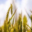 태안 현대서비스 이미지