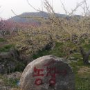 계전1리 Daum카페