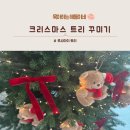 아이트리 | 내돈내산 루시아이 트리 후기｜크리스마스 트리추천