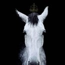 정재석농장 이미지