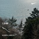 하이슈슈 | [ 제주도 ] 나의 한라산 도전기에 후진은 없다
