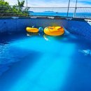 30초 바닷가 아라 펜션 대부도 커플 수영장 가족 독채 키즈 이미지