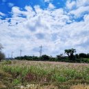 소이목장 이미지