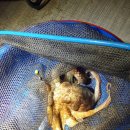 안양바다낚시터 이미지