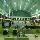 팀버울프코리아(주) 이미지