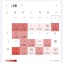 시간을 뚫고 나온 친절한 한국사 | 수능 후기와 11월