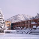 율길초등학교(병설포함) 이미지
