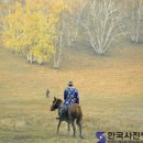 우리들의 아름다운 예술 한국사진방송