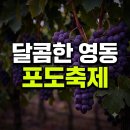 영동병원 | 영동 포도축제 장소 주차 일정 후기 총정리(+초대 가수 라인업 충북 인형일정)
