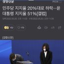 민주당 지지율 20%대로 하락···윤 대통령 지지율 51%[갤럽] 이미지