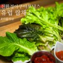 좋은 유러피안 쌈채소, 아쿠아포닉스 친환경 채소 (오비레드,코르바나,알사시아,이자벨 섭취후기)
