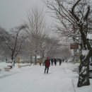 반도이용소 이미지