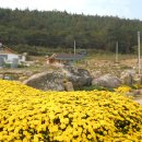 매골농장 이미지