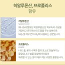 애니슈