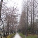 카페거리 이미지