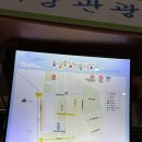 바글바글통영의맛 | 통영중앙시장 활어회 해산물 초장집