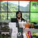 평창청옥산천년초 영농조합법인 머니투데이