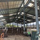 칠악골목장 이미지