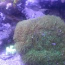 새에덴공인중개사사무소 이미지