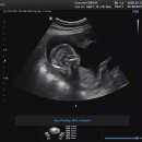 고은빛산부인과의원 이미지