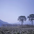 푸른빨래터 이미지