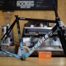 Team Shark 이미지