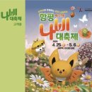 나비여행사