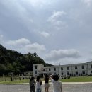 안나애견 | 태안 애견동반 대형카페추천 안나앤틱카페 주말방문후기