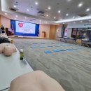 한국라이프 | 심폐소생술 CPR 교육 후기 한국 라이프세이빙 소사이어티