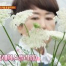 임리농장 이미지