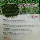 영광종로떡집