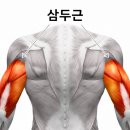 라인 필라테스