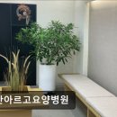 일산아르고요양병원 이미지