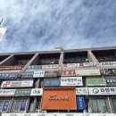 위즐리영어학원 | 강남역 이글체스아카데미 시범수업 후기