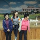 난산초등학교 이미지