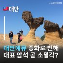 공주공원(타고가야) | 대만 예류, 여왕머리 곧 사라질 예정? 대만예류 지질공원 팩트체크 예스진지투어 할만할까?