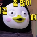 디플랜트 이미지