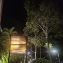 Cozy Cove | 호주 시드니 여행 가성비 호텔 로얄퍼시픽 호텔