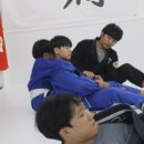 팀루츠 이미지