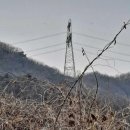 경기도 양평군 대아초등학교 이미지