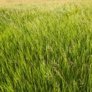 명동한의원 이미지