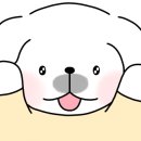 스시이안앤별내역