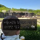 서울대공원 동물원 아기랑 후기 | 입장료·리프트·코끼리열차·주차 꿀팁 총정리